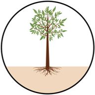 logo, itc enduring value